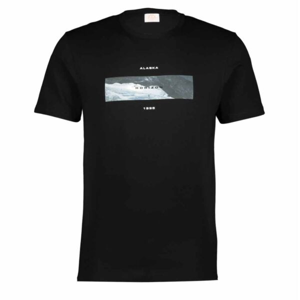 VT ALASKA PRINT TEE